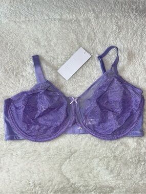HSIA Enchanted Unlined Lace Underwire Bra 38G Purple NWT